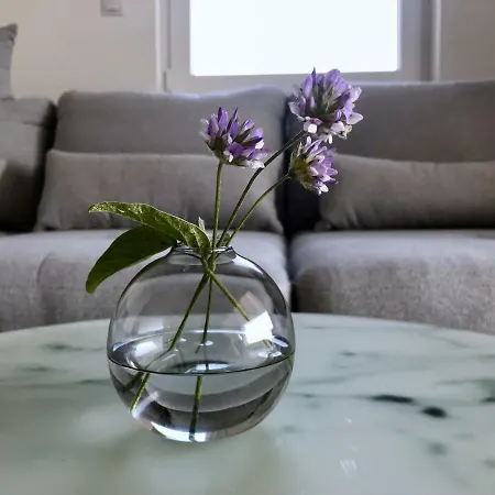 Visitaylinvis Apartman Kültér fotó