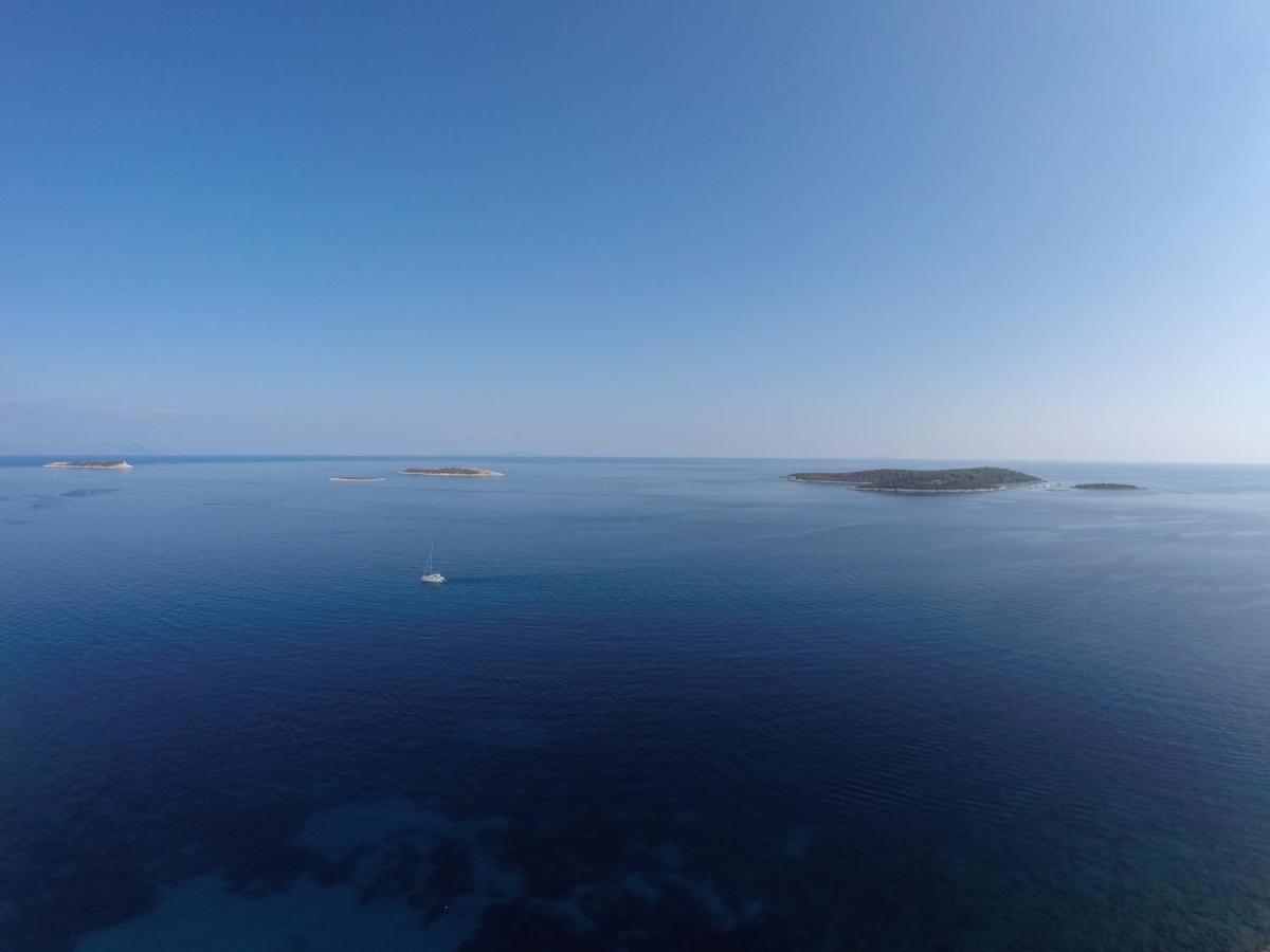 Visitaylinvis * Vis